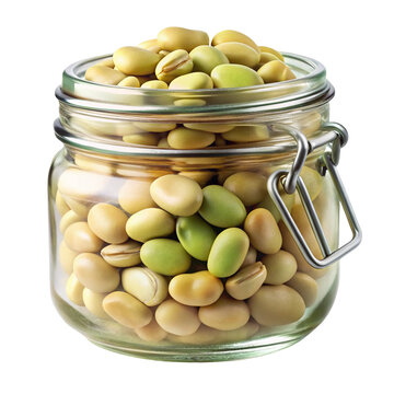 Glass jar filled with fresh green and beige broad beans isolated on transparent background