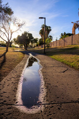 Backlit shot of a wet winding path with huge puddles after a spring rain in Conocido park in late afternoon, Phoenix, Arizona 