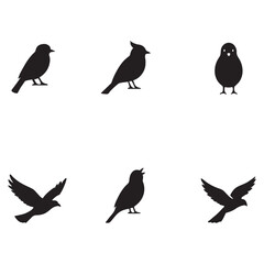 A set of silhouette vector of  very familiar  common birds 