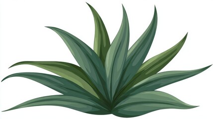 Close-up of a lush agave plant with spiky, pointed leaves.