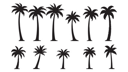 Fototapeta premium set of palm trees silhouette vector