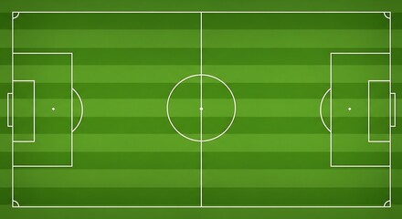 Detailed vector illustration of a soccer field showcasing the pitch markings and dimensions for sports designs and tactical layouts for football strategy and background textures