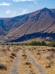 An old gravel road in a dry landscape leads toward the basalt cliffs across the Columbia River near Mattawa, Washington, USA