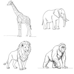 Set of African wildlife line art illustrations: giraffe, elephant, lion, and chimpanzee on transparent background for design and educational use.