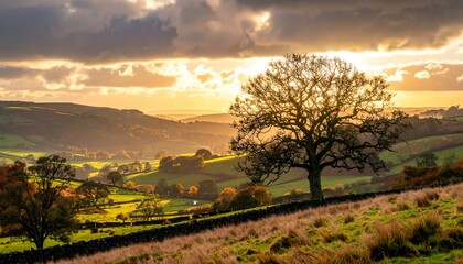 Golden sunset over a rolling valley