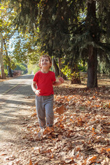 Fototapeta premium A cheerful and energetic young boy runs and plays, kicking up a pile of golden autumn leaves in a park. Autumn concept, autumn season, fall 