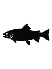 Silhouette of a wild salmon swimming in clear water