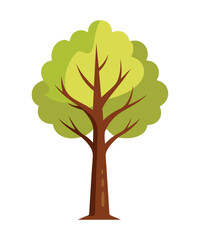 Obraz premium vector tree isolated on white background