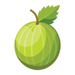gooseberry Illustration Isolated on White Background