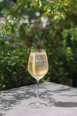 Refreshing summer cocktail in a tall glass