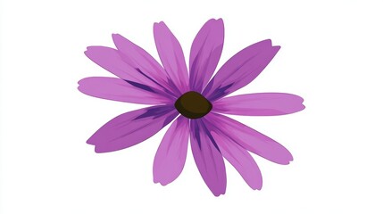 Vibrant purple flower with a dark brown center and delicate petals, isolated on a white background.