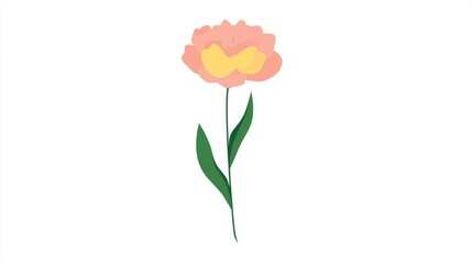 Obraz premium A stunning bouquet of red tulips with a single bloom isolated on a white background, symbolizing love and beauty