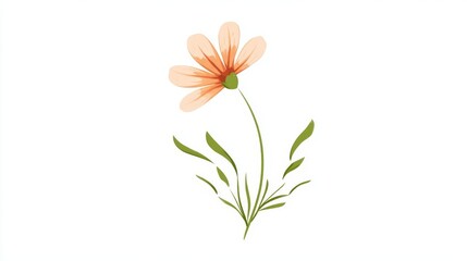 Fototapeta premium A vibrant red flower with delicate petals and a long green stem, isolated on a clean white background