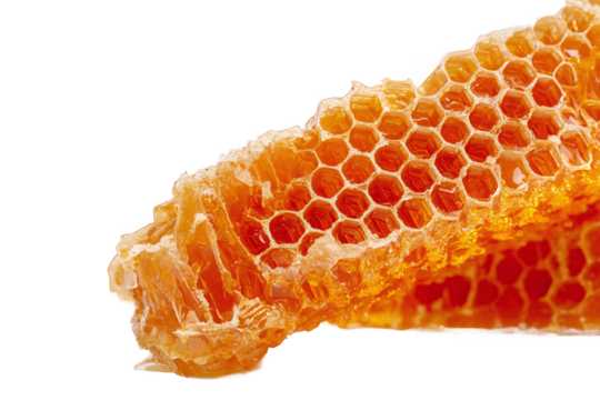 Natural Honeycomb pieces with golden honey, isolated on white transparent background.