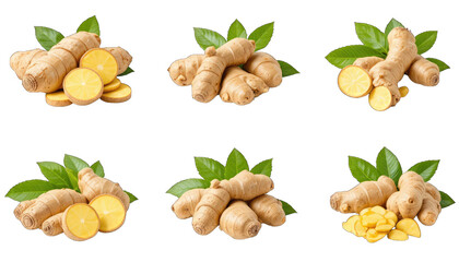 Six Arrangements of Fresh Ginger Root and Slices spice isolated on a transparent background