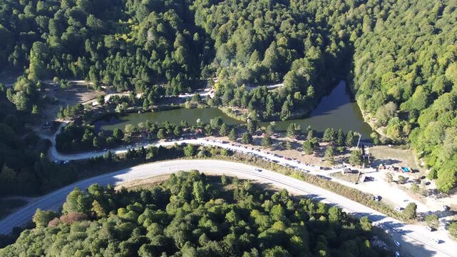 Aerial view of winding asphalt mountain road among green trees in summer. (Domani&ccedil;,İneg&ouml;l dağ yolu)	