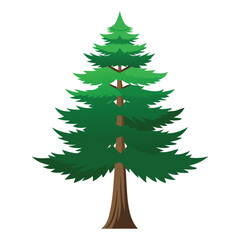 Decorative Pine Tree Illustration for Landscape Projects