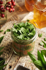 Jar filled with fresh chopped ribwort plantain leaves and brown sugar to prepare herbal syrup