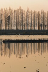 morning on the river