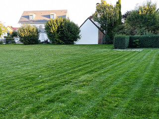 Lush green lawn in a German suburban yard with trees and a white house