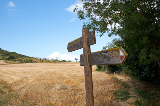Poste de madera con dos flechas opuestas en un campo seco, junto a &aacute;rboles y colinas bajo cielo azul con nubes.