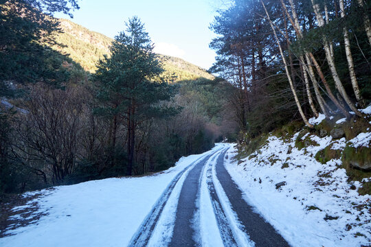 Camino nevado con huellas entre &aacute;rboles, curvando hacia colinas boscosas bajo un cielo azul iluminado por el sol.