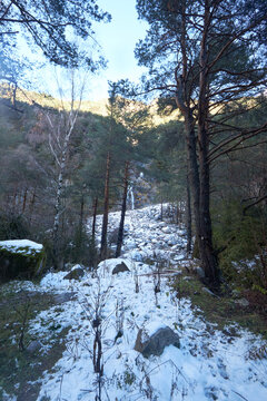 Sendero entre &aacute;rboles con parches de nieve y rocas, ascendiendo por un bosque monta&ntilde;oso iluminado por el sol.