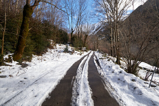 Carretera nevada con huellas entre &aacute;rboles y laderas monta&ntilde;osas, bajo un cielo azul despejado.