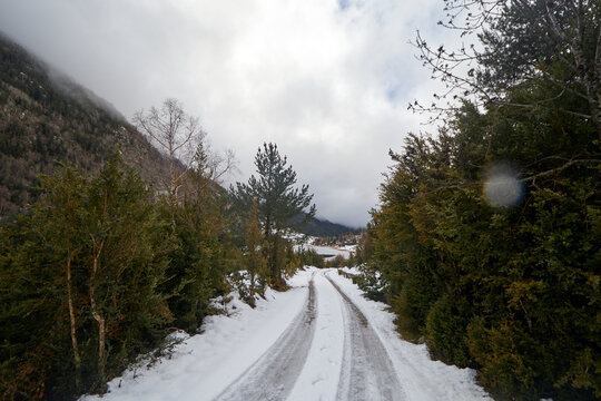 Camino nevado entre con&iacute;feras y laderas monta&ntilde;osas, con rodadas visibles que llevan hacia un valle cubierto de nubes.