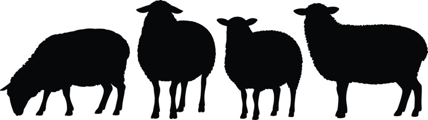 Black silhouette sheep in varied posture, grazing and standing, wool texture, minimal design, white background, farm animal vector illustration