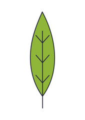 Green Leaf Icon Set – Botanical, Nature and Eco Friendly Vector Illustrations