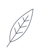 Green Leaf Icon Set – Botanical, Nature and Eco Friendly Vector Illustrations