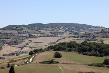 Obraz premium The rural landscape near Pienza in Tuscany. Italy