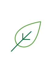 Green Leaf Icon Set – Botanical, Nature and Eco Friendly Vector Illustrations