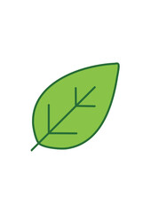 Green Leaf Icon Set – Botanical, Nature and Eco Friendly Vector Illustrations