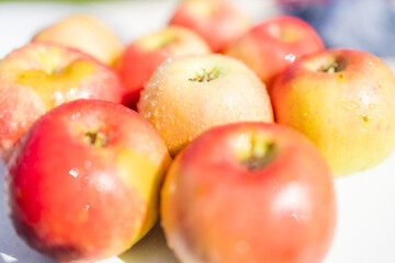 Ripe Apple Hanging on a Tree Branch