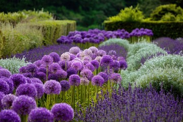 Obraz premium Vibrant purple and green garden with blooming flowers during sunny daytime in a botanical setting showcasing nature's beauty and tranquility