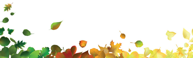 Realistic autumn leaves on a light background - Vector illustration