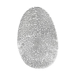 Detailed grayscale fingerprint image