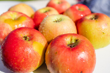 Ripe Apple Hanging on a Tree Branch