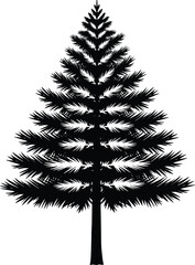 Symmetrical pine tree silhouette with needle-like branches, straight trunk, black design, nature symbol, botanical art, forest illustration