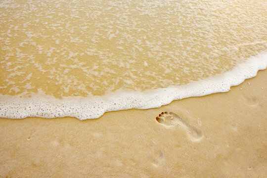 Footprint in the Sand at Water's Edge