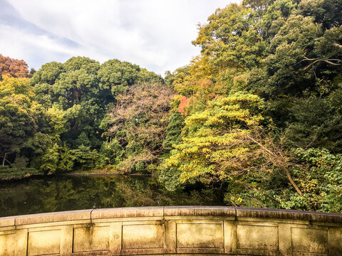Vista desde baranda curva hacia bosque oto&ntilde;al reflejado en aguas tranquilas
&iquest;Quieres que recopile todos los t&iacute;tulos cortos en una tabla organizada? Puedo incluir categor&iacute;a visual, atm&oacute;sfera y ubicaci&oacute;