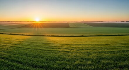 Breathtaking rural landscape with sunrise over vast green fields in tranquil countryside
