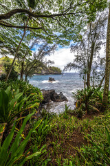 Onomea Bay Lookout on Big Island, HI