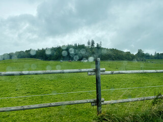 Fototapeta premium Pasture fence view in Germany with green fields, horses, and an overcast rainy day
