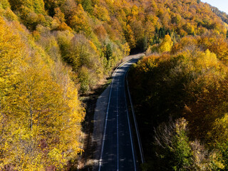 Autumn Mountain Road with a Lake