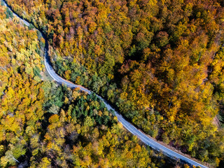 Autumn Mountain Road with a Lake
