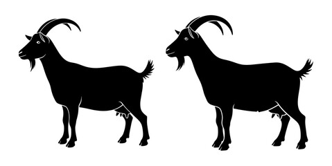 Vector art of two goats standing side by side, showcasing their distinct silhouettes and features