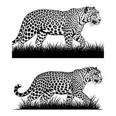 Vector art of two jaguars walking in grass, a black and white vector illustration of wildlife